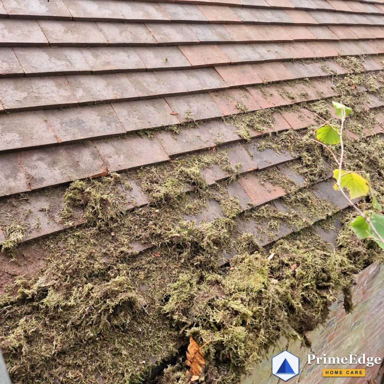 Old clay roof, years of moss, before