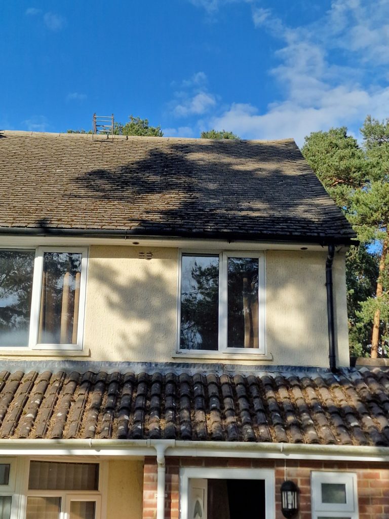 Moss and lichen across a tiled roof before cleaning in Hampshire