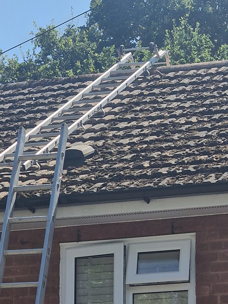 Mossy concrete roof tiles with a roof ladder in place, Berkshire
