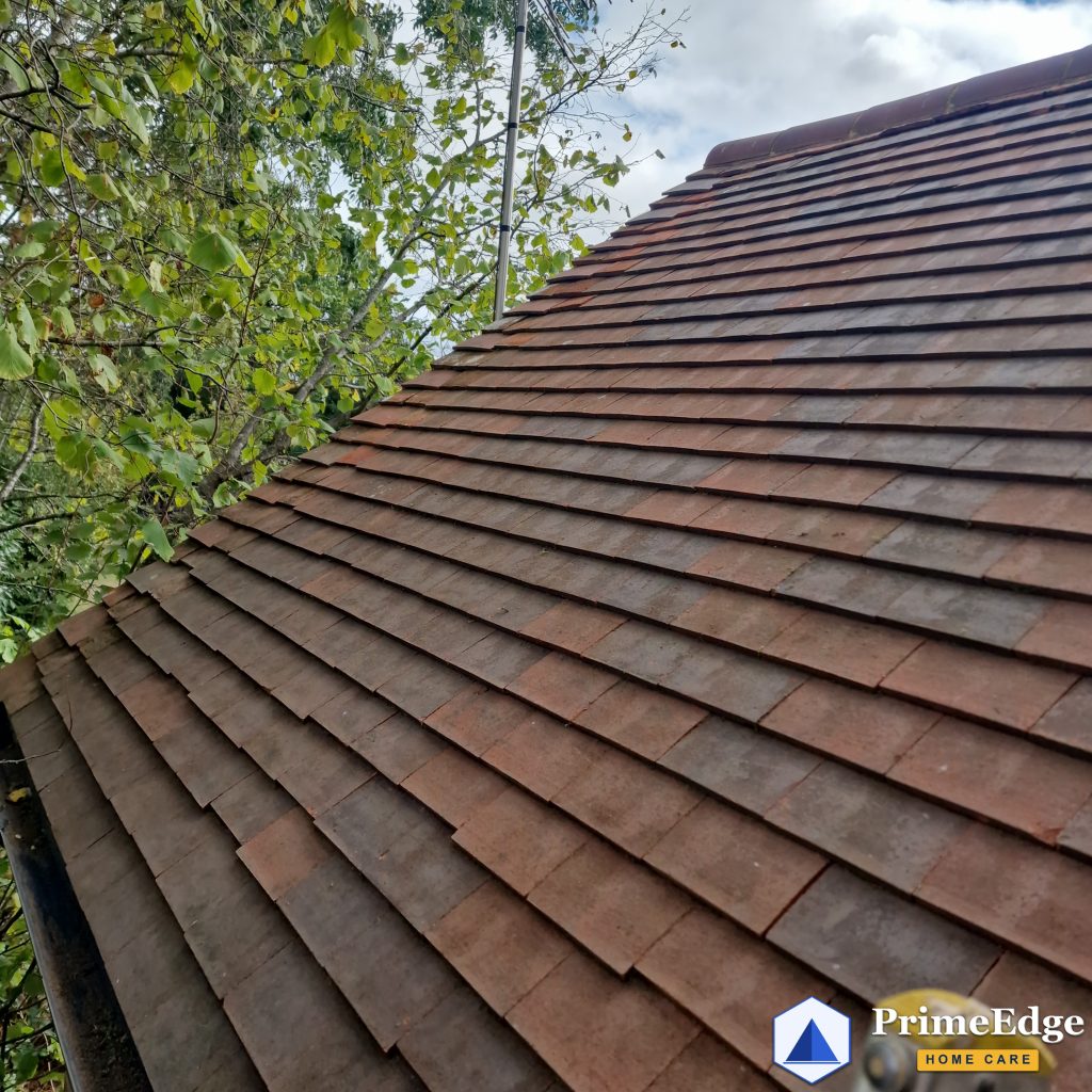 Clay tile roof after moss removal by hand in Hampshire